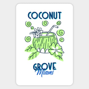 Coconut Grove Miami Magnet